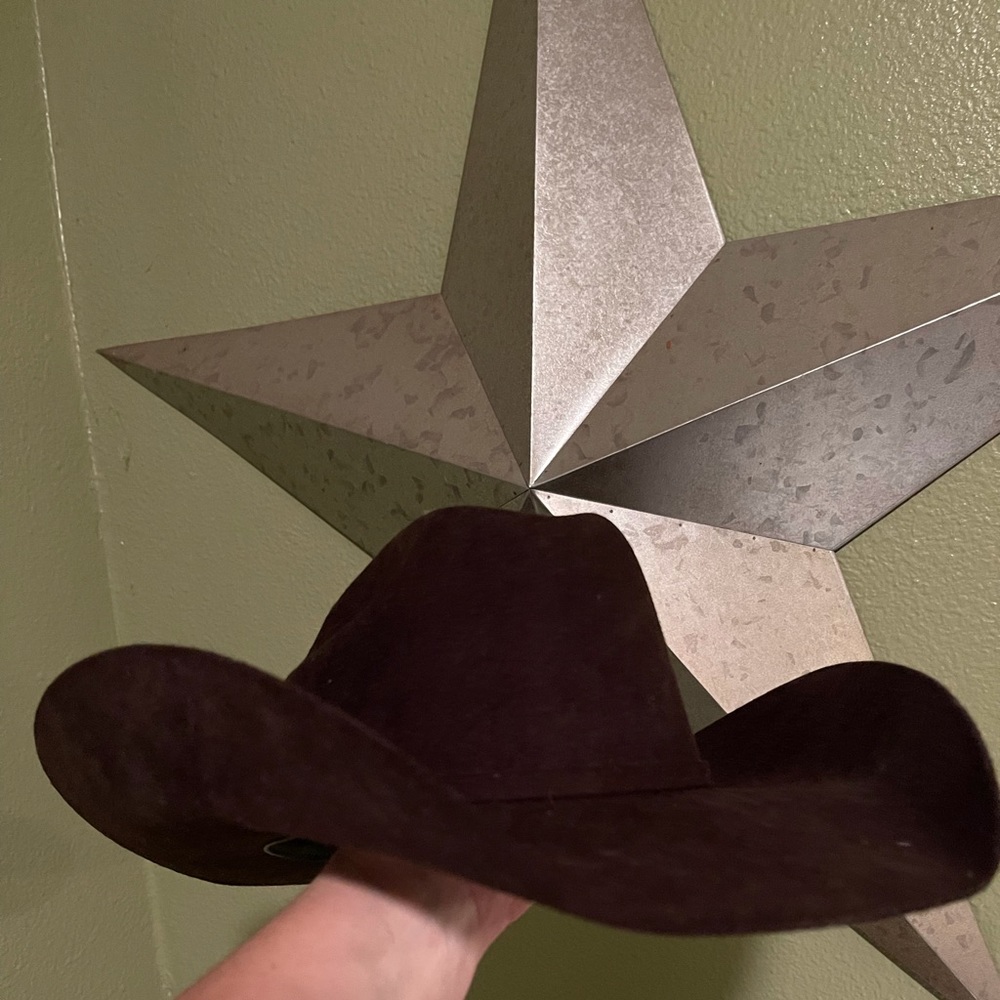 Brown felt hat